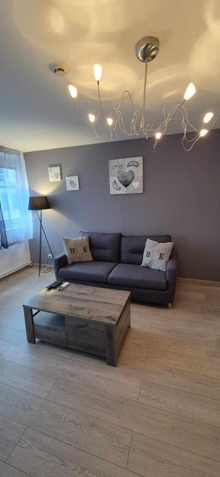 Nouveau !! Appartement Confortable Totalement Renove Avec Parking Gratuit - Hypercentre De Nancy Ngoại thất bức ảnh