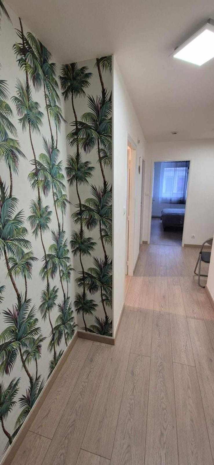 Nouveau !! Appartement Confortable Totalement Renove Avec Parking Gratuit - Hypercentre De Nancy Ngoại thất bức ảnh